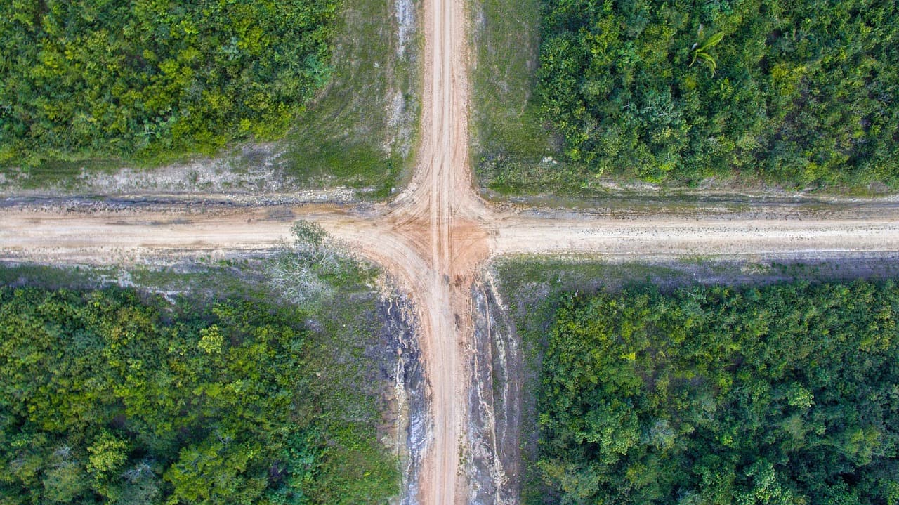 Two country roads crossing between woodland, seen from directly above