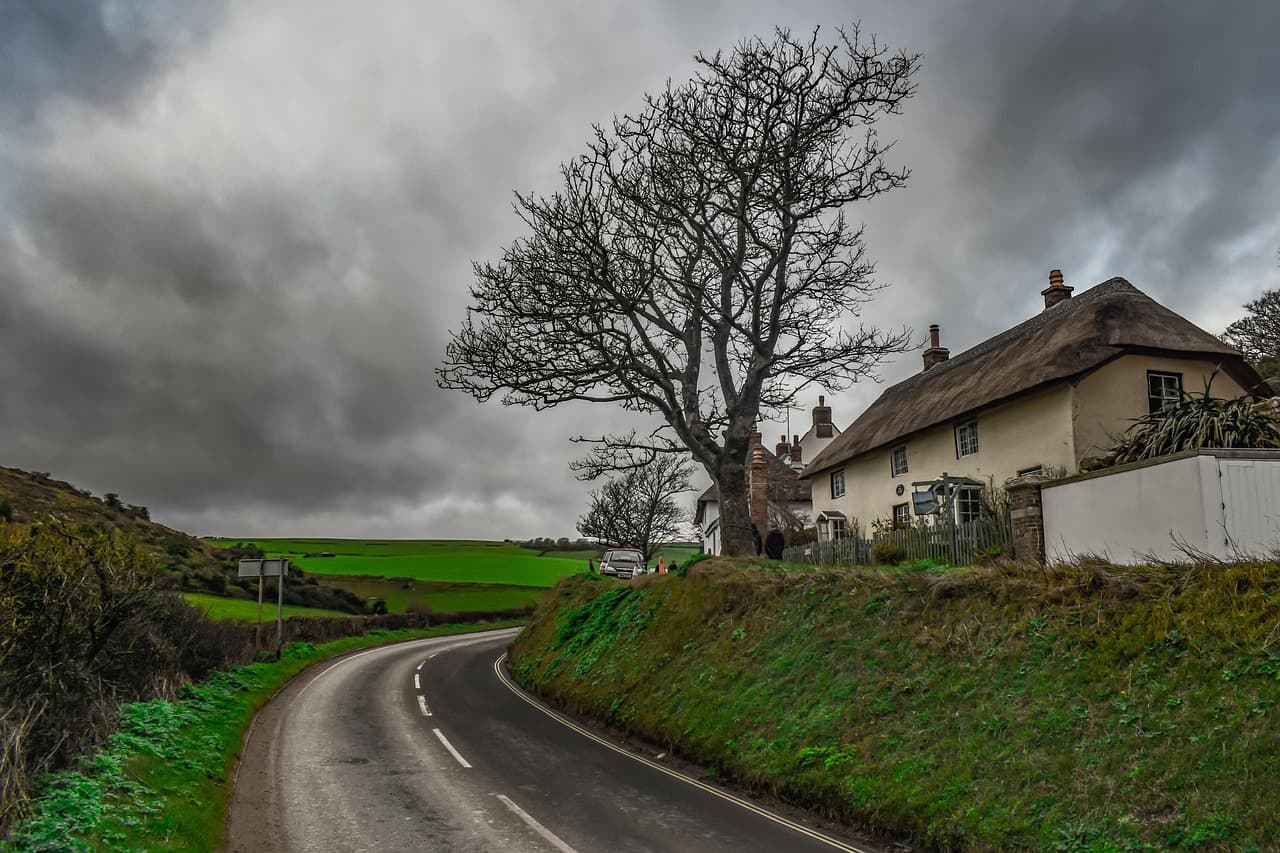 A quiet English lane bending past a thatched cottage and a lone tree